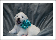 Capture One Session0067_1